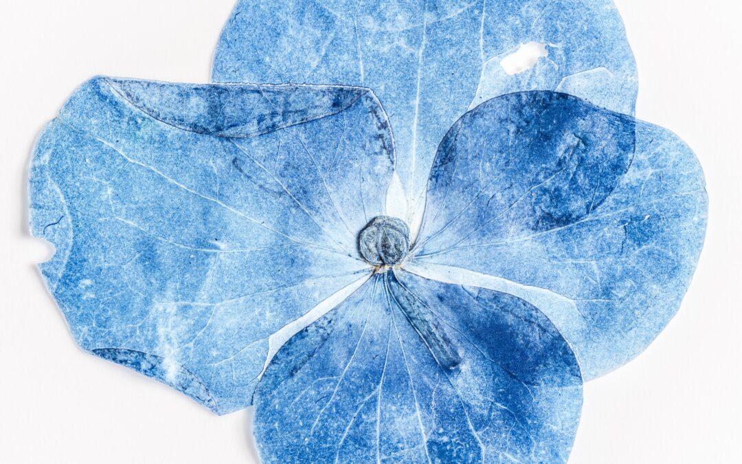 Le PhotoTherapy Techniques di Judy Weiser in Arte Terapia